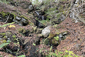 Waterfall camp